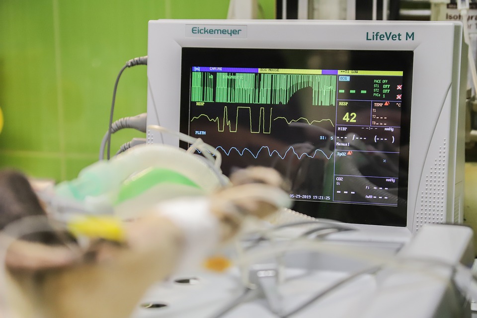 Veterinary equipment