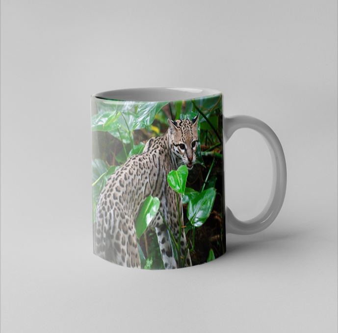 otto mug