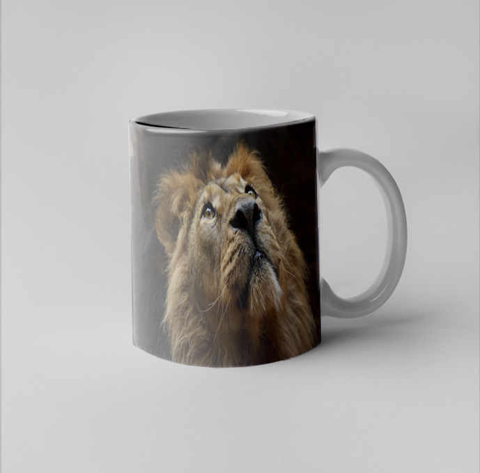 ruppert mug