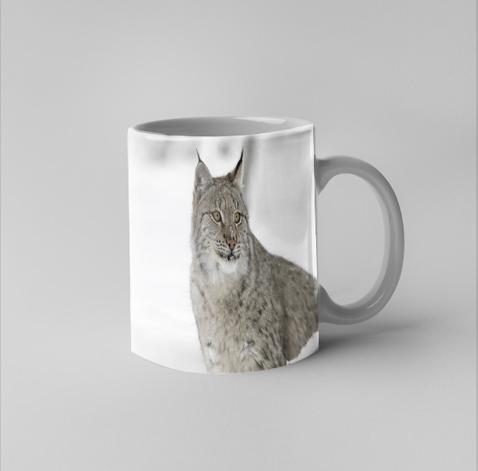 sokko mug
